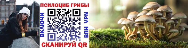 Галлюциногенные грибы мицелий  Купить где  Чаплыгин 